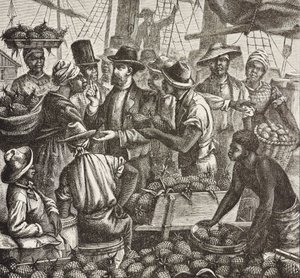 História da Inglaterra (séc. XIX). Colonização (1880). Bahama a vender ananases. Colónia inglesa na ilha de New Providence. O ananás era um dos produtos de exportação do porto de Nassau, o mais importante. Gravura. Coleção particular de Artist Unknown