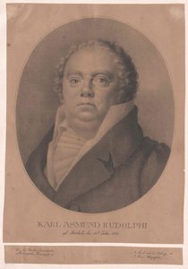 Karl Asmund Rudolphi de Artist Unknown