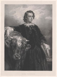Rosa bonheur de Artist Unknown