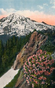 A prímula no Monte Rainier, c1916