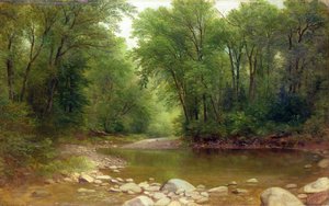 Um fluxo de Catskill, 1867 de Asher Brown Durand