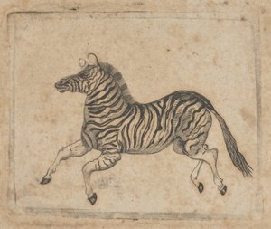 Vinheta de notas mostrando uma zebra, ca. 1824-37.