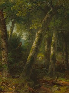 Floresta na luz da manhã, c. 1855.