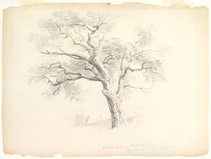 O Carvalho de Castanha no Hosack Estate, Hyde Park, Nova Iorque com Cinco Figuras e um Artist Sketching, 1838 (grafite sobre papel) de Asher Brown Durand