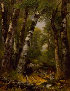 Woodland Glen, c. 1850-1855. de Asher Brown Durand