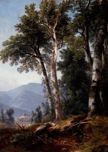 Paisagem de bosque, c.1850 (óleo sobre tela) de Asher Brown Durand