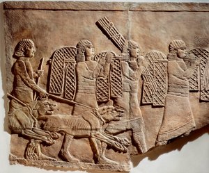 Cena de caça Ashurbanipal, dos Palácios Reais de Níniveh, c.645 a.C. (relevo em pedra) de Assyrian