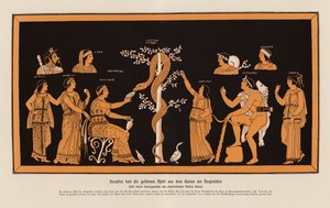 Héracles roubando as maçãs de ouro do Jardim das Hespérides (litografia a cores) de Asteas Asteas