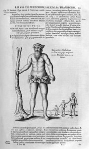 Gigantes antediluvianos, 1678.