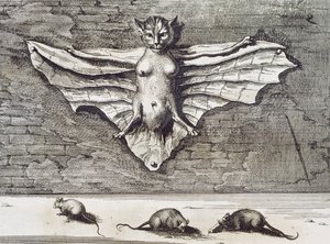 gato de vôo de 1667 de Athanasius Kircher