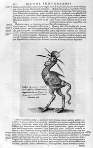 Criaturas míticas, 1678. de Athanasius Kircher