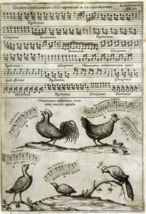 A canção emitida por certos voláteis expressos por notas musicais depois: "Musurgia Universalis", de Athanasius Kircher. de Athanasius Kircher