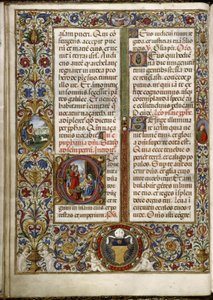 Missal de Thomas James: página com uma inscrição: a Adoração dos Magos e um medalhão na margem: os pastores na Anunciação.