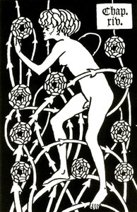 hermafrodita entre as rosas de Le morte d&39;Arthur por Sir Thomas Malory, 1894 de Aubrey Beardsley