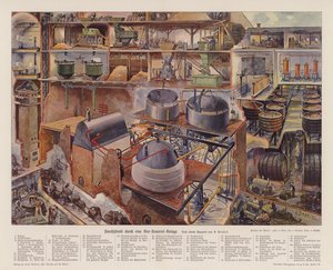 Corte transversal de uma fábrica de cerveja (litografia a cores)