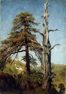""Estudo das árvores, Noruega"" Pintura de August Cappelen (1827-1852) 1850 Museu Nacional de Arte, Oslo, Noruega