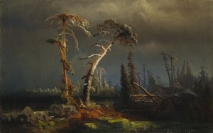 Tempestades crescentes - floresta primitiva morrendo em tempestades (óleo sobre tela)