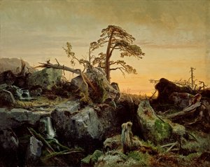 Morte na selva