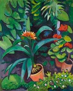 Flores no jardim, clívias e pelargónios de August Macke