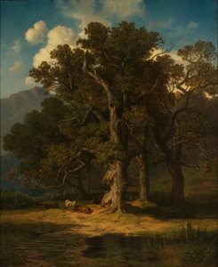 paisagem da floresta de August Maximilian Zimmermann