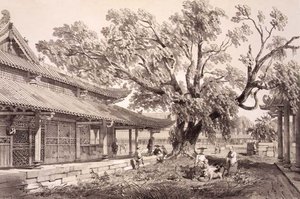 O Templo de Buda nos subúrbios de Honan de Cantão, placa 24 de "Sketches of China", gravado por Eugene Ciceri (1813-90) 1842 (litografia colorida)