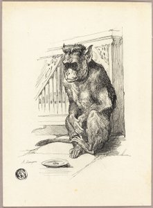 Macaco pedinte de Auguste Andre Lancon