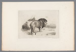 Leão Un vieux lion (título no objeto) gravuras francesas de 1874 (título da série) L