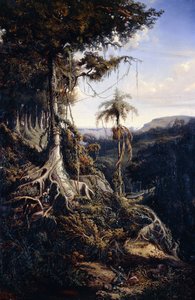 Floresta de Jala-Jala
