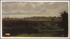 Terras dos pântanos, meados dos anos 1850 (óleo sobre papel)