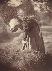 Camponês, c. 1870.