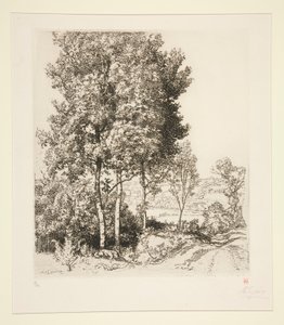 O Vale Petit Morin perto de Verdelot (Seine-et-Marne) (Pequeno Vale Morin perto de Verdelot [Seine-et-Marne]) de Auguste Lepere