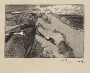 Floresta de Fontainebleau: Arbonne, The Gros Sablon A floresta de Fontainebleau ..., 1890. de Auguste Louis Lepère