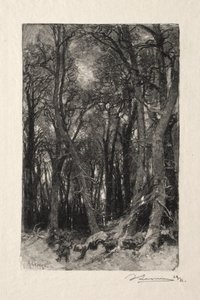 O baixo Breau. de Auguste Louis Lepère