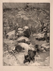 Roche Cuvier Châtillon de Auguste Louis Lepère