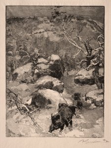 Roche Cuvier Chatillon, 1887. de Auguste Louis Lepère