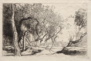 A árvore torcida de Auguste Louis Lepère