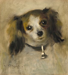Cabeça de um cão de Auguste Renoir