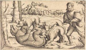 Caça ao Urso, 1545.