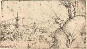 Paisagem com uma cidade à esquerda de Augustin Hirschvogel
