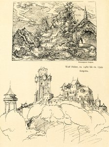 Estudo da natureza de Augustin Hirschvogel