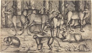 Veados na floresta de Augustin Hirschvogel
