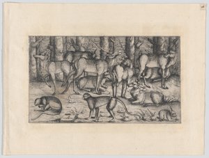 Veados na Floresta, 1545. de Augustin Hirschvogel