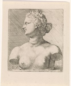 Busto de Vénus de