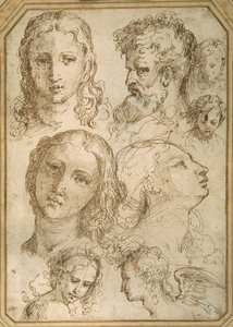 Estudos da cabeça: uma mulher, um anjo, um jovem e um homem barbado (caneta e tinta marrom sobre papel branco) de Aurelio (attr. to) Luini