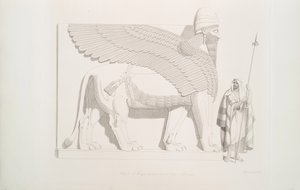 Um leão alado de cabeça humana de Nimroud [Calá], 1849