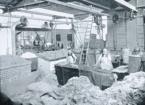 Interior de um moinho de chapéu, Victoria, c.1900, de &39;Under the Southern Cross - vislumbres da Austrália&39;, publicado em 1908 de Australian Photographer