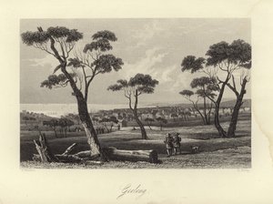 Geelong de Australian School