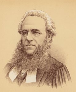 Sua Excelência o Juiz Foster (litografia a cores) de Australian School