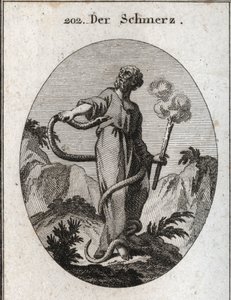 Alegoria da dor. Uma cobra monstruosa rodeia-o que, depois de ter atado os seus pés, ganha o seu corpo e tenta morder o seu coração. Ela segura uma tocha que ainda fuma, o que significa que o abatimento induzido pela dor cessa o fogo da alma. Gravura em "I de Austrian School
