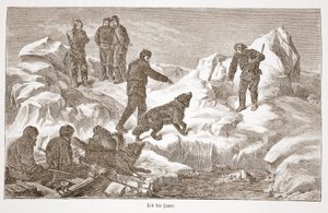 Caça com cães, 1876 de Austrian School